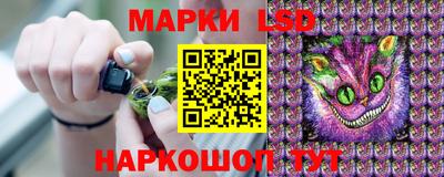 гашик Кулебаки