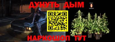 гашик Кулебаки