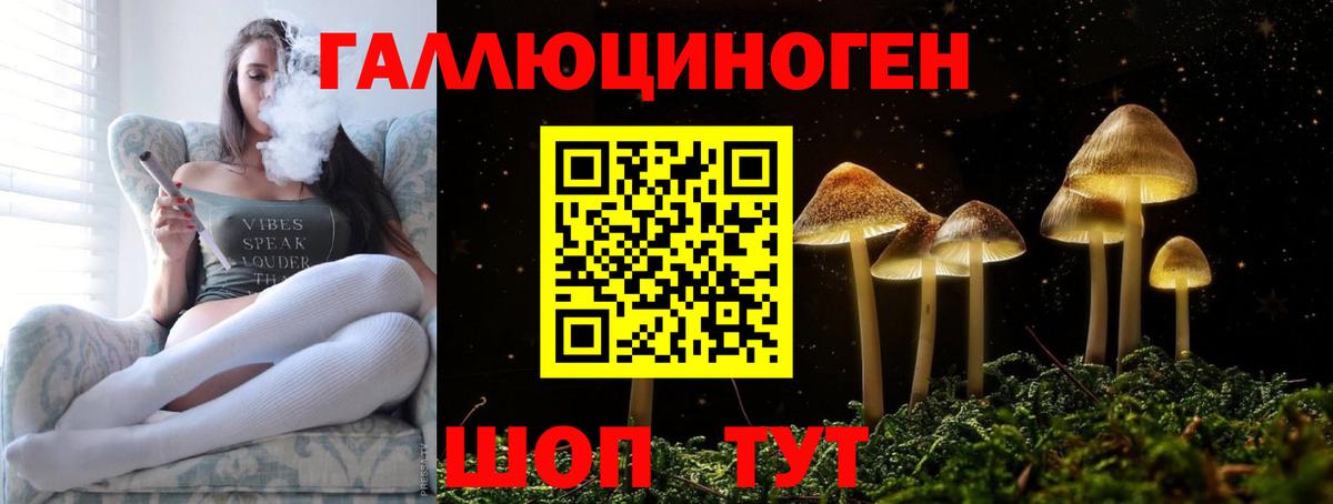 Галлюциногенные грибы прущие грибы Изобильный